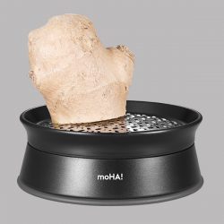 Alternative view of GINGER 6920009