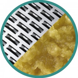 Alternative view of EVOLUTION QUATTRO 6921788