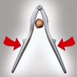 Alternative view of MARE 6962525